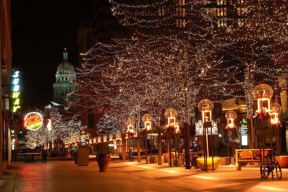 Trees wrapped in lights along a street